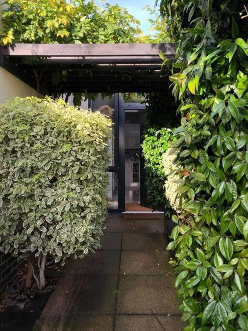 Private Garden Oasis In Central Bristol Exteriér fotografie